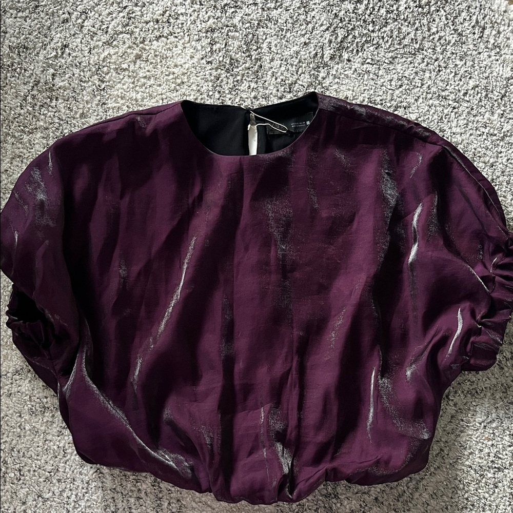 Zara Shimmering Purple Blouse
